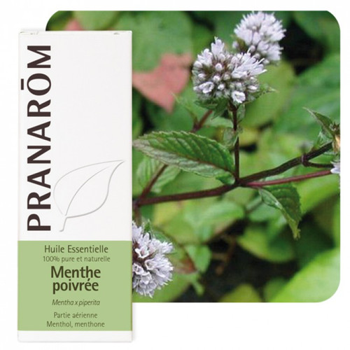 PRANAROM ETERICNO ULJE PAPRENA METVICA 10 ML 