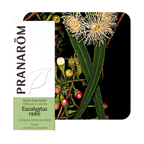 PRANAROM ETERICNO ULJE EUKALIPTUS RADIATA 10 ML 