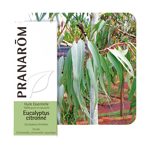 PRANAROM ETERICNO ULJE EUKALIPTUS LIMUNSKI 10 ML 