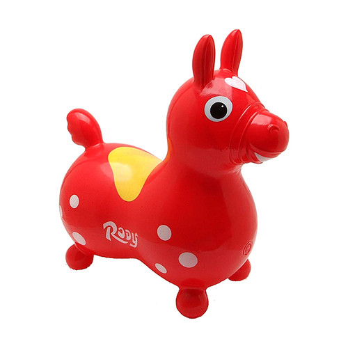 GYM RODY GUMENI KONJIC