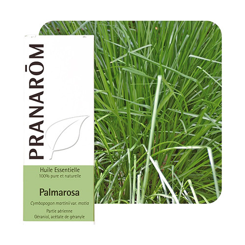 PRANAROM ETERICNO ULJE PALMAROSA 10 ML 