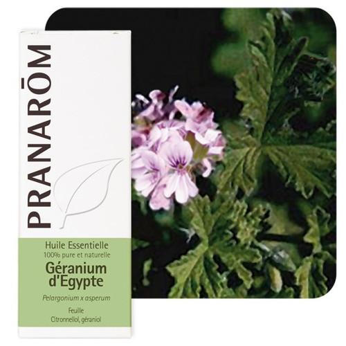 PRANAROM ETERICNO ULJE GERANIJ EGIPATSKI 10 ML 