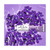 Ohlalá Paris pasta za zube VIOLET MINT 75 ml