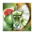 Jean Paul Gaultier Paradise Garden EDP, 125 ml