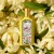 Gucci Flora Gorgeous Orchid EDP