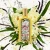 Gucci Flora Gorgeous Orchid EDP