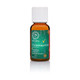 DEA FLORES Eterično ulje CHRISTMAS MINT 20ML
