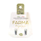 Farma Bijoux Hipoalergene naušnice CRYSTAL BAGUETTE 12x4 mm