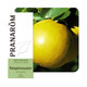 PRANAROM ETERICNO ULJE GREJP 10 ML 