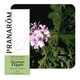 PRANAROM ETERICNO ULJE GERANIJ EGIPATSKI 10 ML 