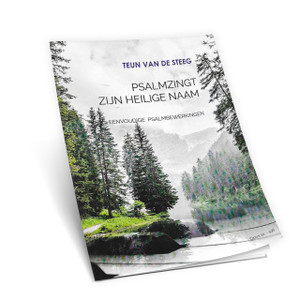 Teun van de Steeg - Eenvoudige  Psalmbewerkingen Teun van de Steeg - Eenvoudige  Psalmbewerkingen