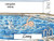 Swimming-Male