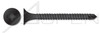 #10 X 2" Drywall Screws, Bugle Phillips Drive, Self-Drilling Point, Fine Thread, Steel, Black Phosphate