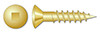 #8 X 1" Wood Screws, Oval Square Drive, Brass #8 X 1" Wood Screws, Oval Square Drive, Brass