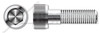 1/4"-20 X 2-3/4" Socket Cap Screws with Hex Drive, Stainless Steel