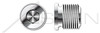 1-1/8"-11 DIN 908, Metric, Threaded Screw Pipe Plugs, Hex Socket Drive, Straight Thread, A4 Stainless Steel