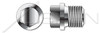 1/2"-14 DIN 910, Metric, Threaded Screw Pipe Plugs, Hex Head, Straight Thread, A2 Stainless Steel