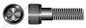 M14-2.0 X 100mm ISO 4762, Metric, Hex Socket Head Cap Screws, Class 12.9 Steel, Black Oxide, Holo-Krome