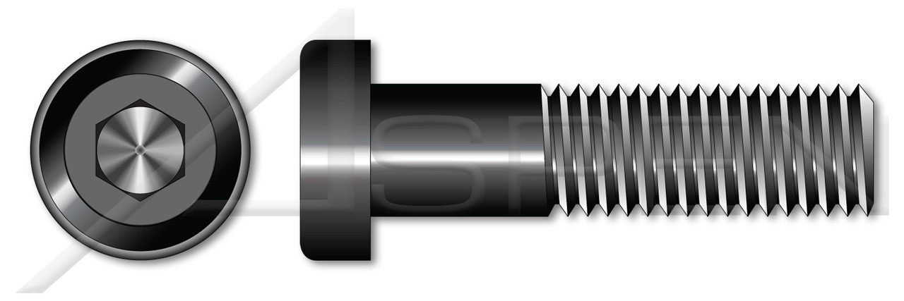 #10-24 X 3/4" Low Head Socket Cap Screws with Hex Drive, Coarse Threading, Alloy Steel, Made in U.S.A.