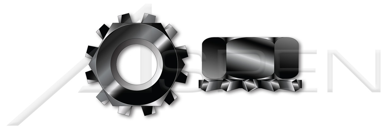 1/4"-20 Black Oxide Coated Stainless Steel, K Lock Keps Nuts