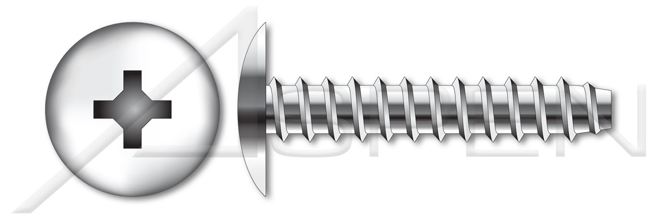 #6 X 1/4" Type B Self Tapping Sheet Metal Screws, Truss Head with Phillips Drive, Stainless Steel