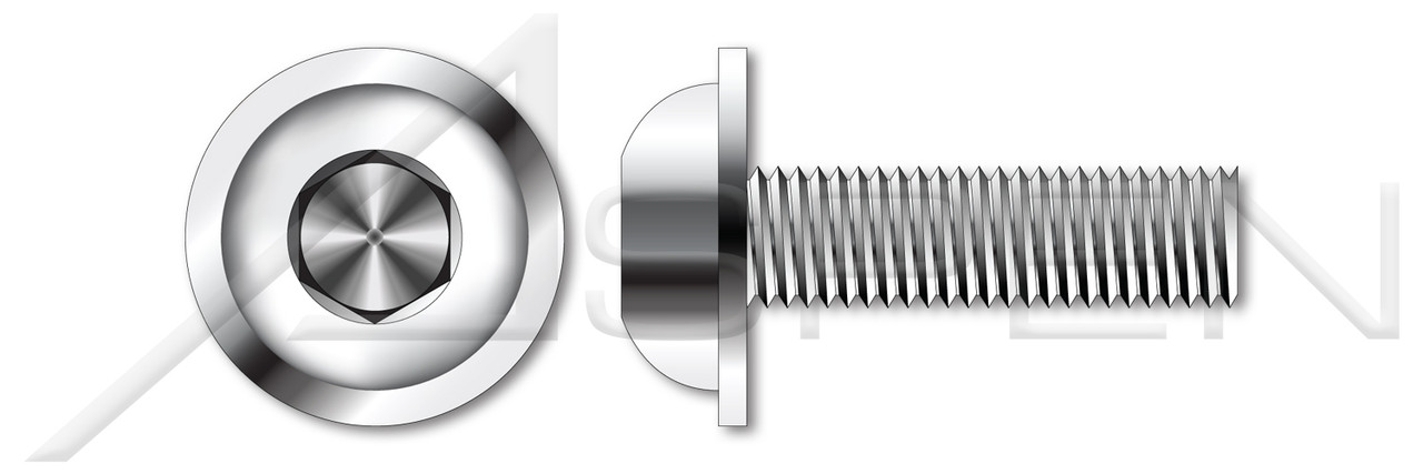 1/4"-20 X 3/4" Flanged Button Head Cap Screws with Hex Socket Drive, Stainless Steel 18-8