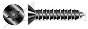 #14 X 1" Flat Head Type AB Self Tapping Sheet Metal Security Screws with Tamper-Resistant 6Lobe Torx(r) Pin Drive, Black Oxide Coated Steel, Includes Driver Bit