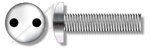 M6-1.0 X 16mm Security Machine Screws, Metric, Pan Head Tamper Resistant Drilled Spanner Drive, AISI 304 Stainless Steel (18-8), Includes Driver Bit