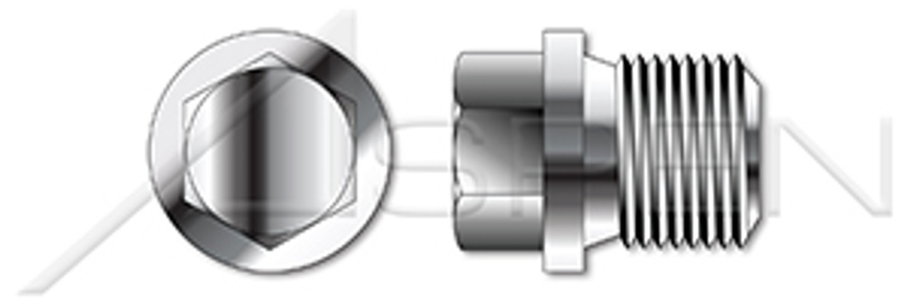 1"-11 DIN 910, Metric, Threaded Screw Pipe Plugs, Hex Head, Straight Thread, A2 Stainless Steel