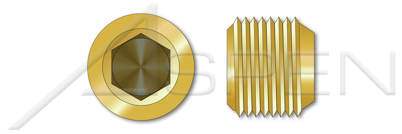 1/4" Threaded Screw Pipe Plugs, 3/4" Taper, Dry Seal, Hex Socket Drive, Brass, Made in U.S.A.