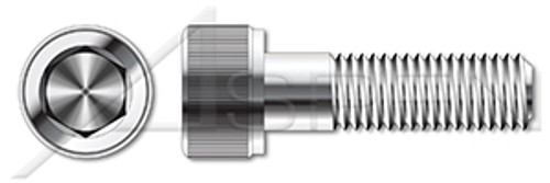 3/4"-10 X 3" Hex Socket Head Cap Screws, AISI 316 Stainless Steel