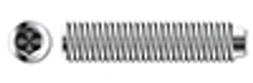 #10-24 X 1/4" Hex Socket Set Screws, Flat Point, Full Thread, AISI 304 Stainless Steel (18-8)