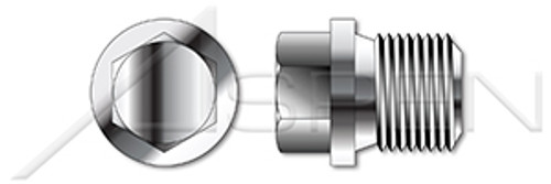 M22-1.5 DIN 910, Metric, Threaded Screw Pipe Plugs, Hex Head, Straight Thread, A2 Stainless Steel