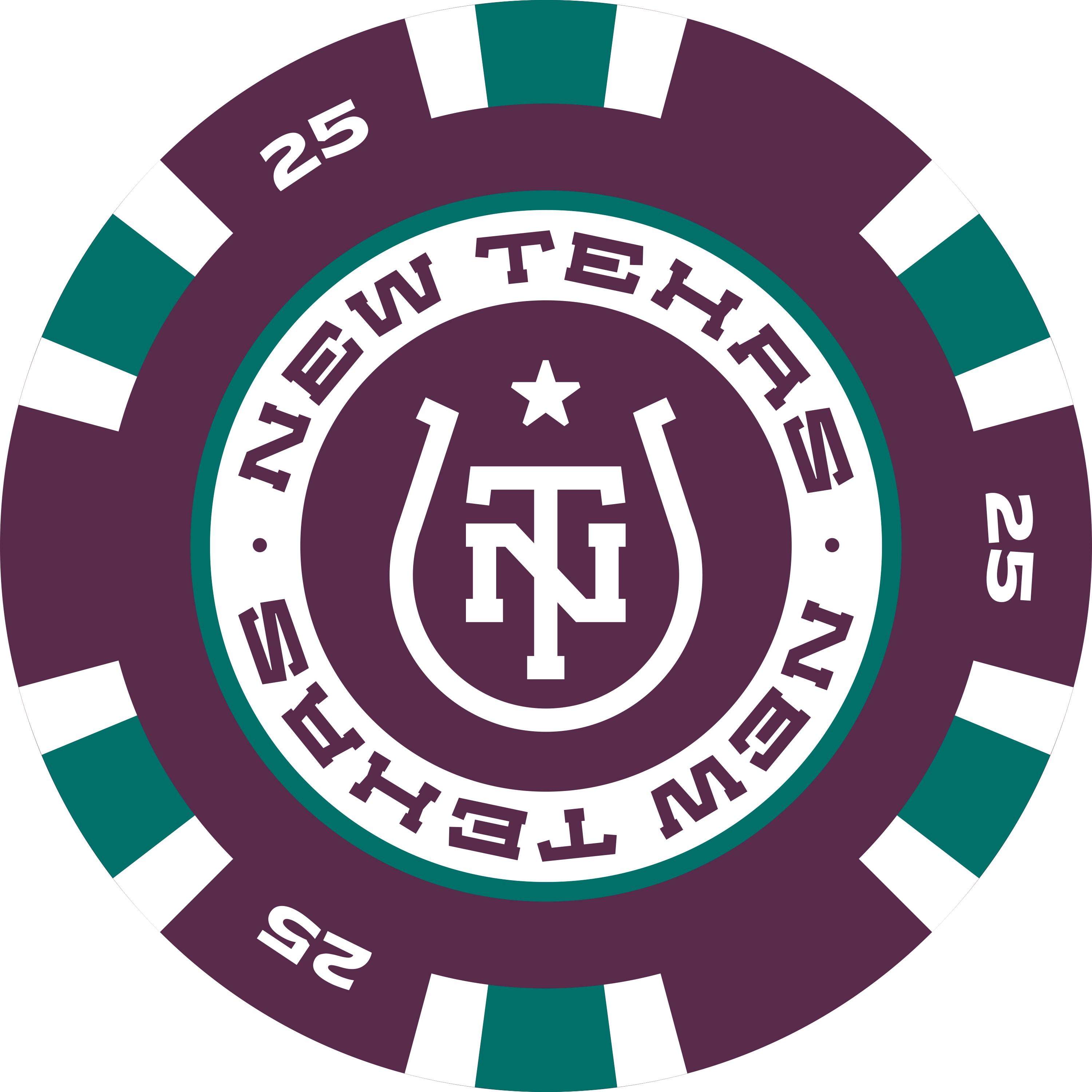 cmyk-newtexaspokerchips-mightyducks-25.png