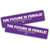 The Future Is Female (10" x 2" Vinyl Sticker -- Pack of Two!) The Future Is Female (10" x 2" Vinyl Sticker -- Pack of Two!)