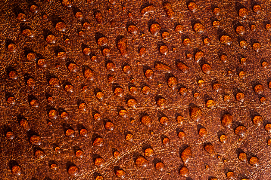 Water Based Leather Stain - Brown 