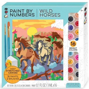 Paint by Numbers Wild Horses
All in One Art Kit