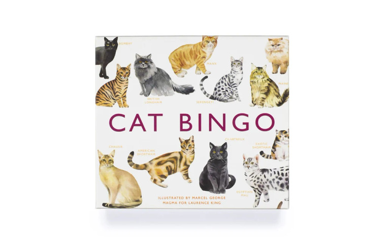 Cat Bingo game