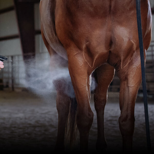 Horse Fly Control