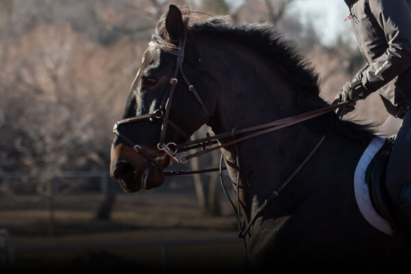 Horse Metabolic Care