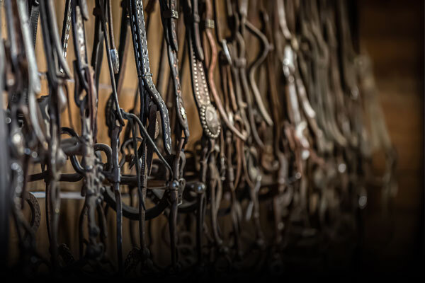 Horse Tack & Supplies