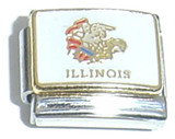 Illinois State Flag Italian Charm