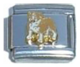 Pit Bull Italian Charm