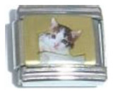 Cat Picture Italian Charm
