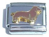 Brown Dog Italian Charm
