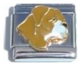 Dog Brown And White Italian Charm