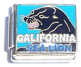 California Sea Lion Italian Charm