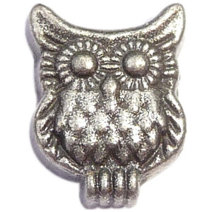 Owl Floating Locket Charm Owl Floating Locket Charm