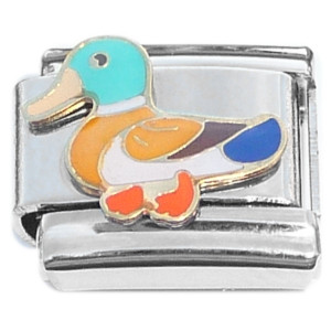 Duck Colorful Bird Italian Charm