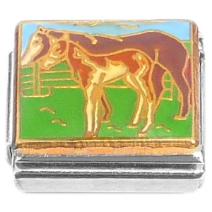 Brown Horses Grass Blue Sky Italian Charm